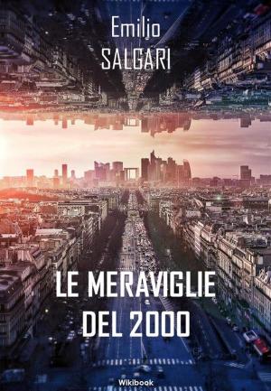 Book cover of Le meraviglie del 2000