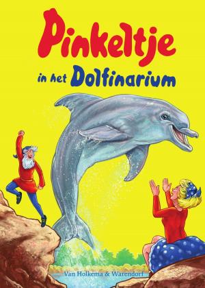 Cover of the book Pinkeltje in het Dolfinarium by Jacques Vriens