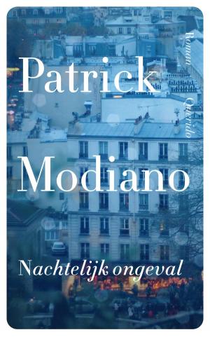 Cover of the book Nachtelijk ongeval by Katja  Kettu