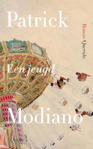 Cover of the book Een jeugd by Henk van Straten