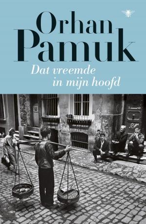 Cover of the book Dat vreemde in mijn hoofd by Ohran Pamuk