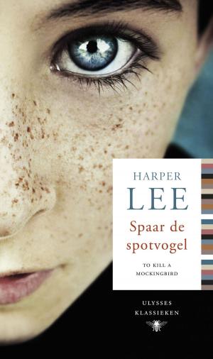 Cover of the book Spaar de spotvogel by Rob Wijnberg