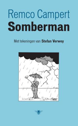 Cover of the book Somberman by David van Reybrouck, Thomas D'Ansembourg