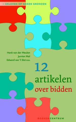 Cover of the book 12 artikelen over het gebed by Jody Hedlund