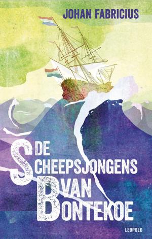 Cover of the book De scheepsjongens van Bontekoe by Caja Cazemier