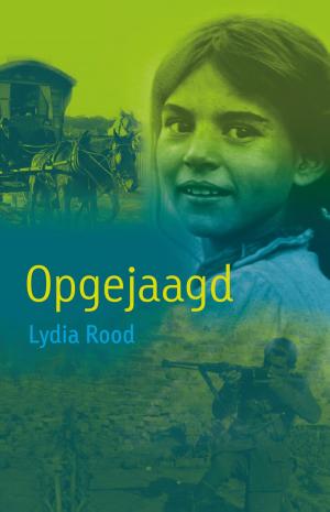 Cover of the book Opgejaagd by Harmen van Straaten