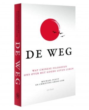Book cover of De weg