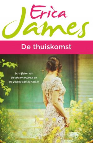 Cover of the book De thuiskomst by Reina Crispijn