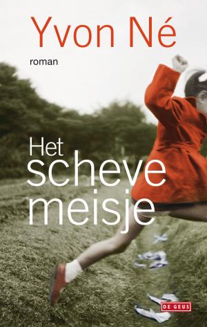 Cover of the book Het scheve meisje by Christophe Vekeman