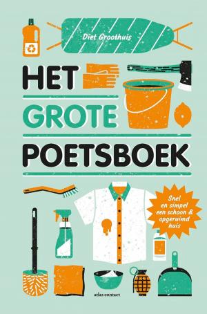 Cover of the book Het grote poetsboek by Jente Posthuma