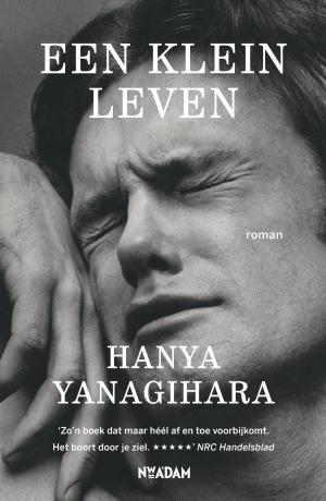 Cover of the book Een klein leven by Stevo Akkerman