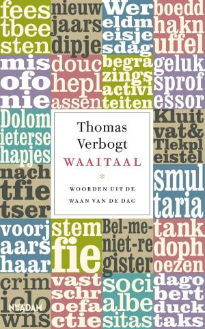 Cover of the book Waaitaal by Flip Vuijsje