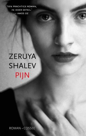 Cover of the book Pijn by Aleksandr Skorobogatov