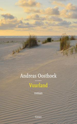 Cover of the book Vuurland by Dola de Jong