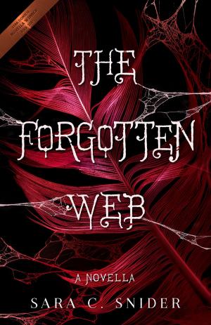 Book cover of The Forgotten Web