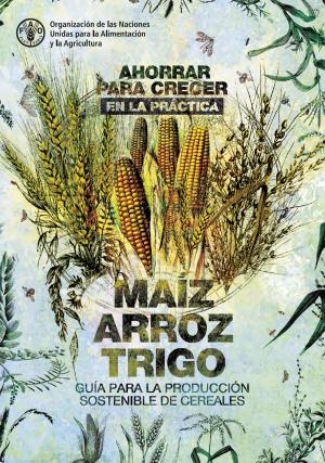 Cover of the book Ahorrar para crecer en la práctica: maíz, arroz, trigo: Guía para la producción sostenible de cereales by Food and Agriculture Organization of the United Nations