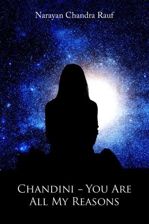 Cover of the book Chandini - You Are All My Reasons by Dr. Gita Mathai, MBBS, DCH