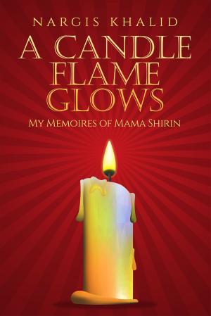 Book cover of A Candle Flame Glows