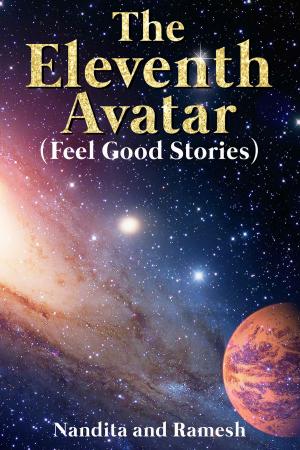 Cover of the book The Eleventh Avatar by Diamondtaj Alli