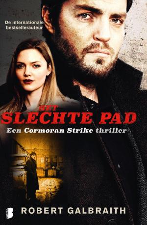 Cover of the book Het slechte pad by Santa Montefiore