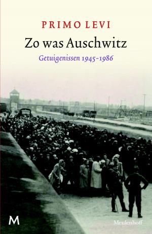 Book cover of Zo was Auschwitz