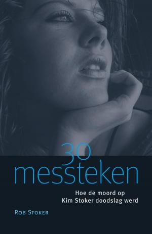 Cover of the book 30 messteken by Karel ten Haaf