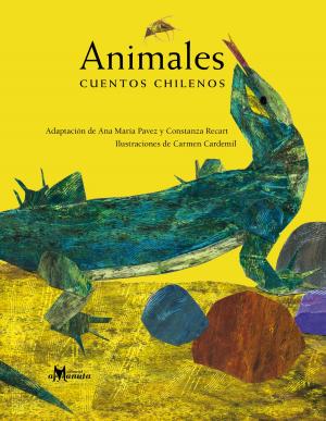 Book cover of Animales, cuentos chilenos