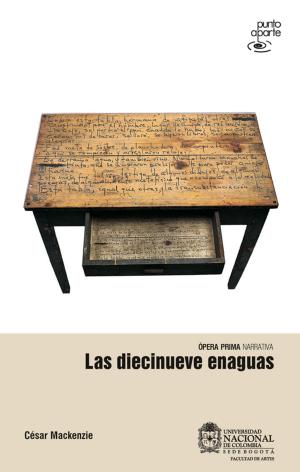 Cover of the book Las diecinueve enaguas by Jorge Julián Vélez Upegui
