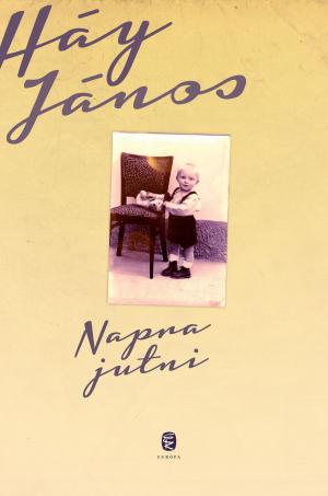 Cover of the book Napra jutni by Háy János