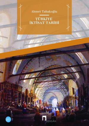 Cover of the book TURKIYE IKTISAT TARIHI by ROBERT GORDON ANDERSON