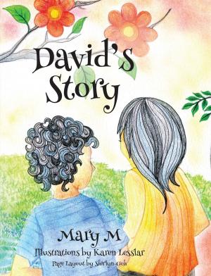 Cover of the book David's Story by Rhoda Myra Garces Bacsal, Jesus Federico C. Hernandez