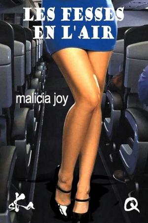 Cover of the book Les fesses en l'air by Malicia Joy