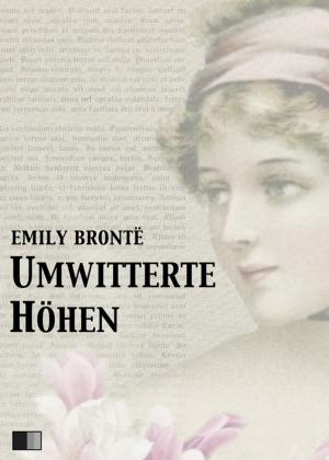 Cover of the book Umwitterte Höhen by Arthur Conan Doyle