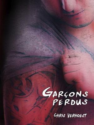 Cover of the book Garçons perdus by Chris Verhoest