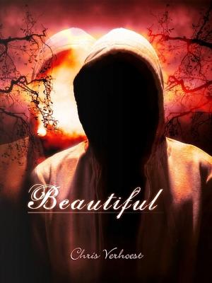 Book cover of Beautiful