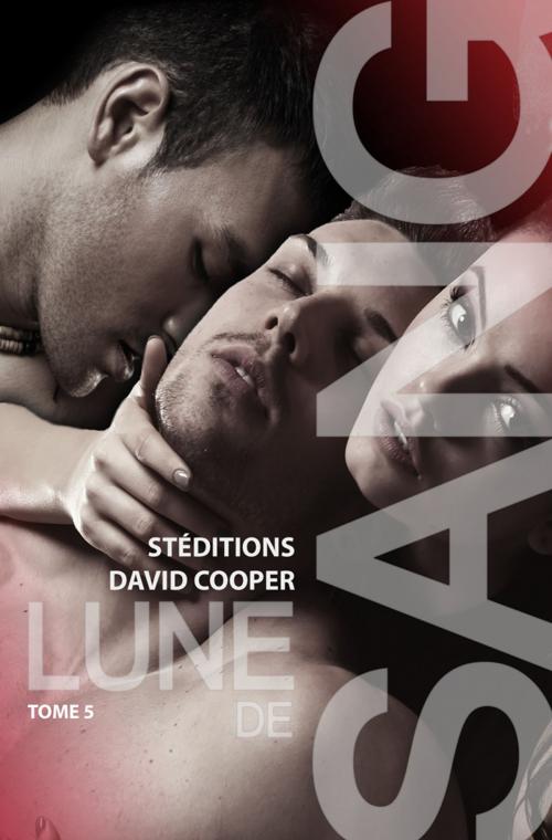Cover of the book Lune de sang - Tome 5 (Roman gay) by David Cooper, STEDITIONS - Romans gays