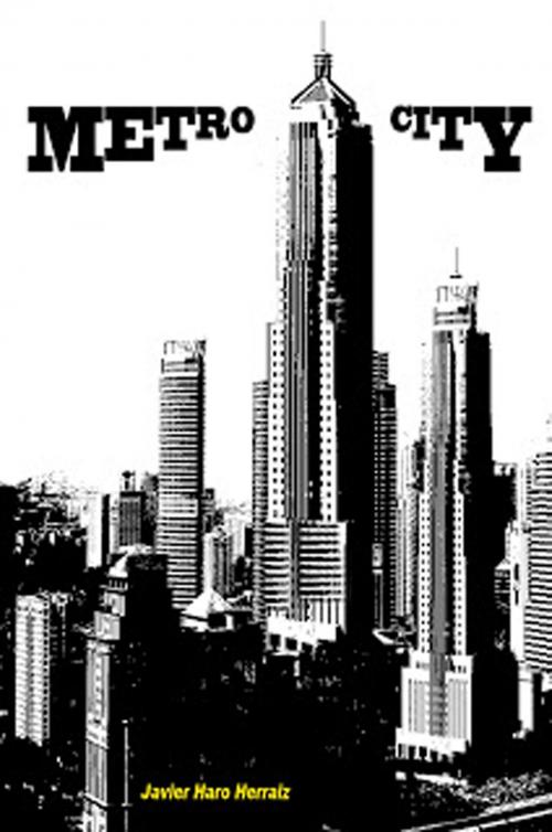 Cover of the book METRO CITY by JAVIER HARO HERRAIZ, Javier Haro Herraiz