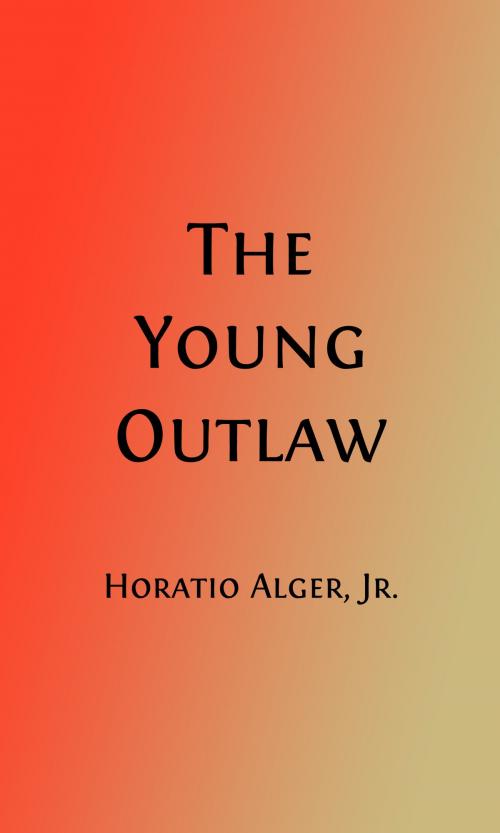 Cover of the book The Young Outlaw (Illustrated) by Horatio Alger, Jr., Steve Gabany