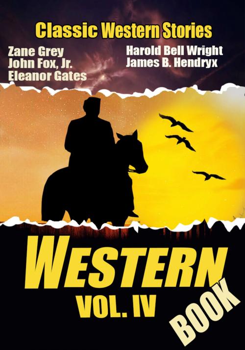 Cover of the book THE WESTERN BOOK VOL. IV by ZANE GREY, JAMES B. HENDRYX, JOHN FOX JR., ELEANOR GATES, HAROLD BELL WRIGHT, Combo Press