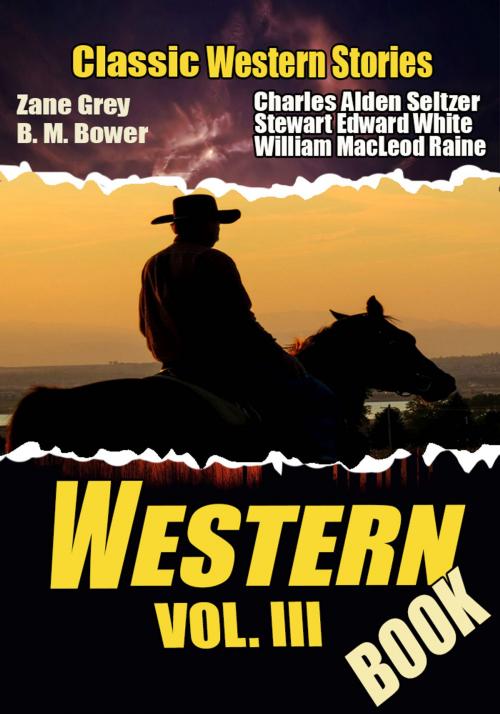 Cover of the book THE WESTERN BOOK VOL. III by ZANE GREY, CHARLES ALDEN SELTZER, WILLIAM MACLEOD RAINE, B. M. BOWER, STEWART EDWARD WHITE, Combo Press