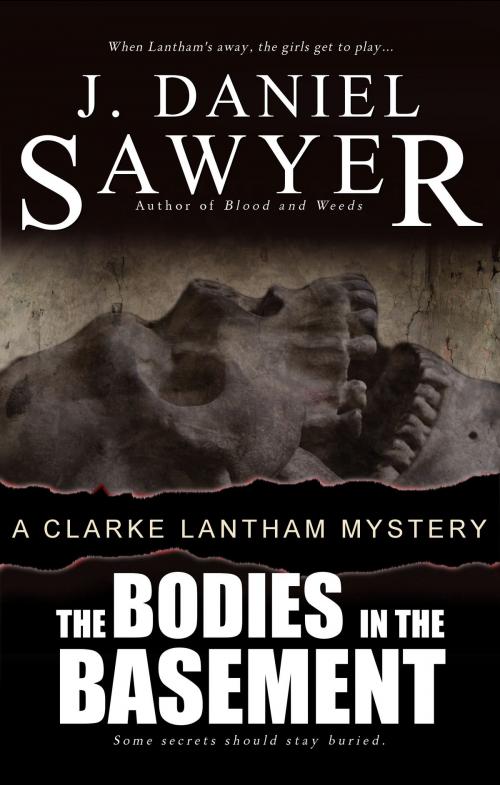 Cover of the book The Bodies in the Basement by J. Daniel Sawyer, AWP Books