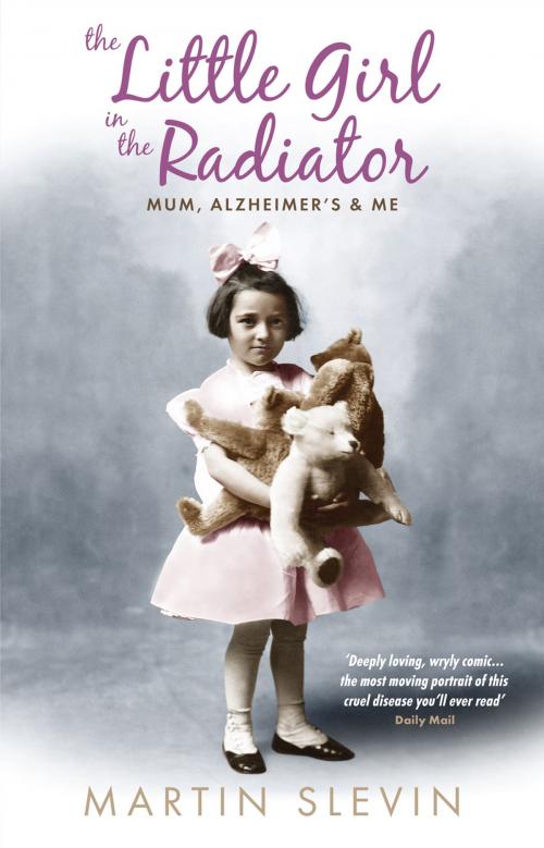 Cover of the book The Little Girl In The Radiator by Martin Slevin, Monday Books