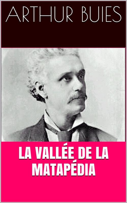 Cover of the book La vallée de la Matapédia by Arthur Buies, PRB