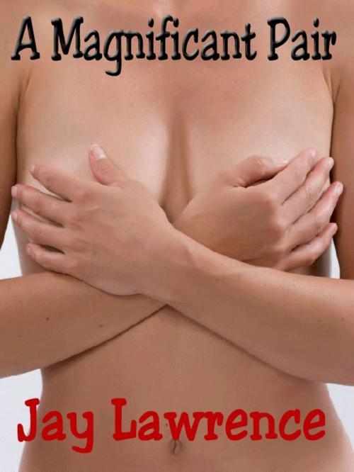 Cover of the book A Maginificent Pair: 2 Novelettes of Erotic Domination by Jay Lawrence, Reanissance E-Books, Inc.