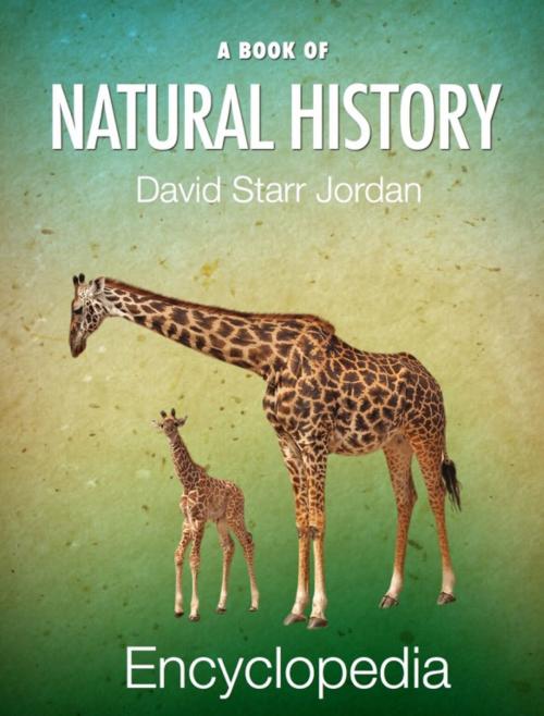 Cover of the book A Book of Natural History by David Starr Jordan, My Ebook Publishing House