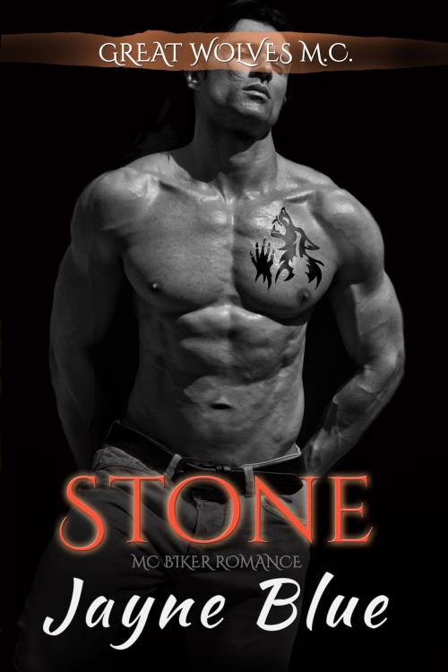 Cover of the book Stone by Jayne Blue, Jayne Blue
