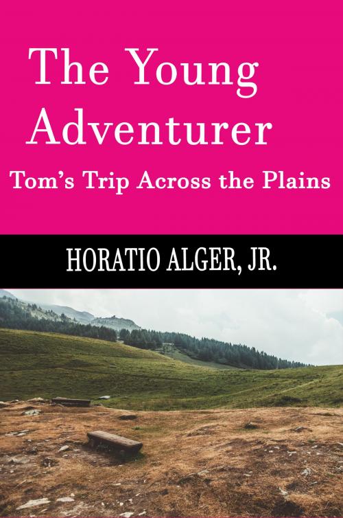 Cover of the book The Young Adventurer (Illustrated) by Horatio Alger, Jr., Steve Gabany