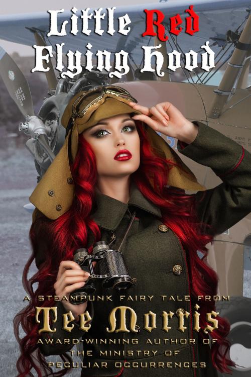 Cover of the book Little Red Flying Hood by Tee Morris, Imagine That! Studios