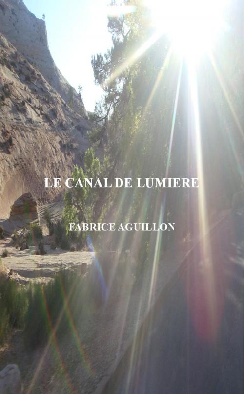 Cover of the book LE CANAL DE LUMIERE by Fabrice AGUILLON, LE PONT DES DEUX MONDES