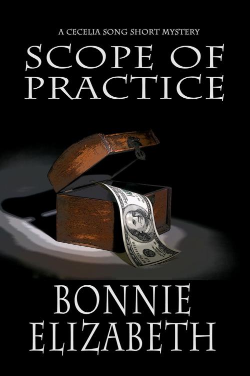 Cover of the book Scope of Practice by Bonnie Elizabeth, My Big Fat Orange Cat Publishing